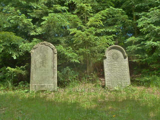 Rokytnice v Orlických horách - židovský hřbitov