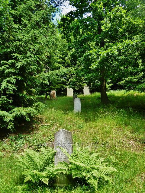 Rokytnice v Orlických horách - židovský hřbitov