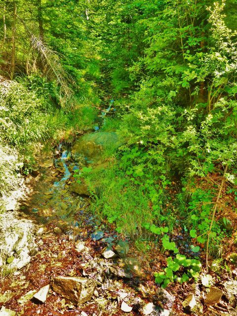 Pramen "U Cesty" na trase po červené TZ od Císařské boudy k rozcestí Palaš