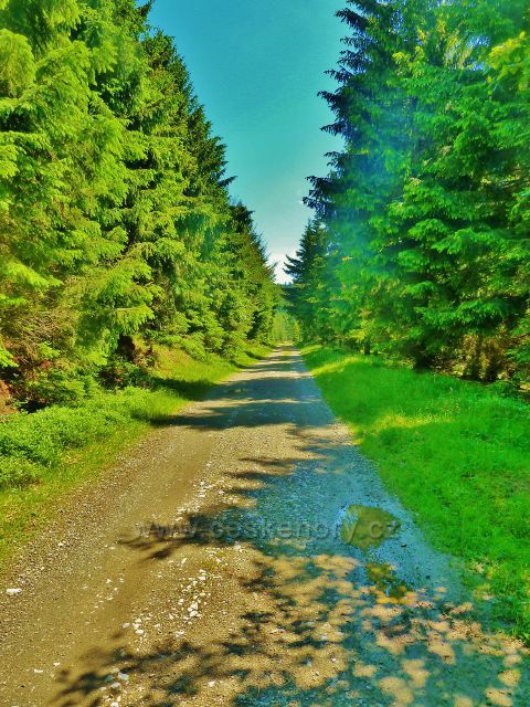 Turistická magistrála -Hřebenovka E3 v úsaeku od Císařské lovecké boudy po rozcestí Palaš má stále stejný charakter