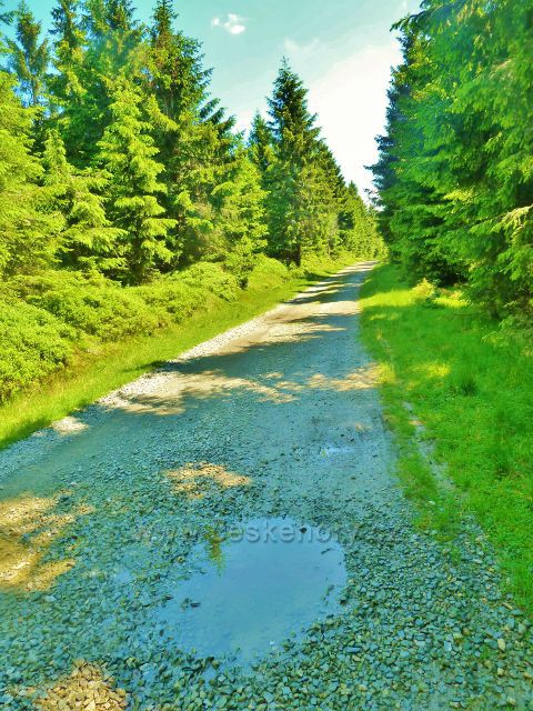 Hřebenovka E3 od Císařské lovecké boudy k rozcestí Palaš