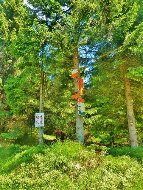 Turistický rozcestník "Trkač 1045 m.n.m." poblíž prameniště Vrbenského potoku coby přítoku říčky Krupá