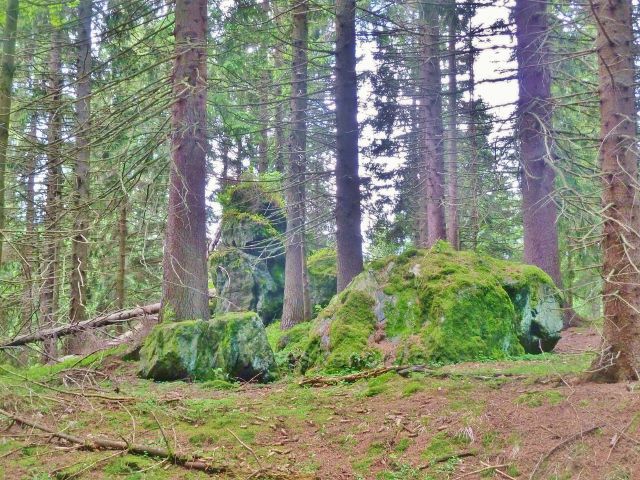 Skaliska u trasy po zelené TZ z Paprsku do sedla Větrov