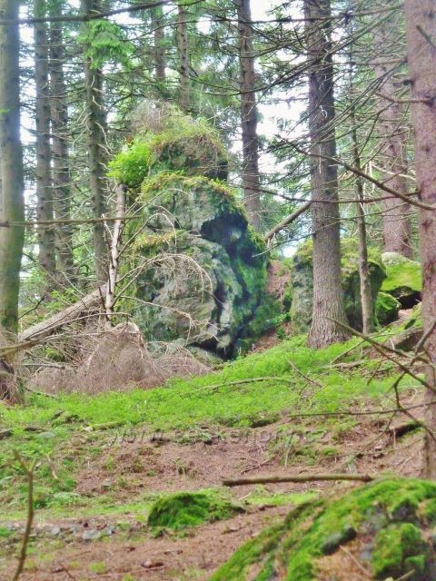 Skalní výchoz u trasy po zelené TZ z Paprsku do sedla Větrov