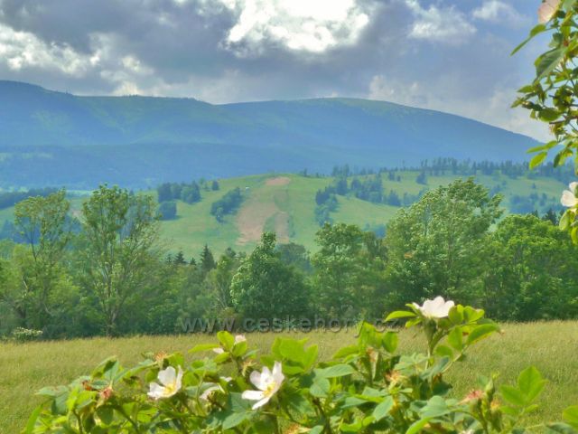 Pohled na Kunčický lyžařský areál.Na obzoru se táhne hřeben masivu Králického Sněžníku