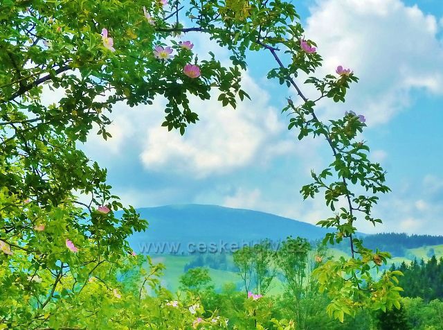 Pohled "růžovým" oknem na Králický Sněžník