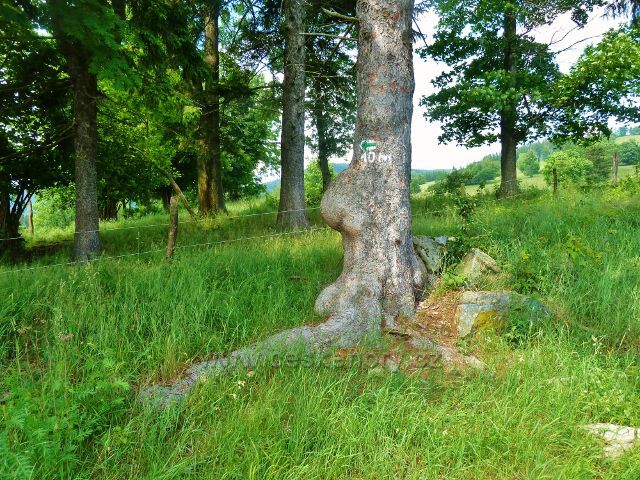 Po zelené TZ do Starého Města