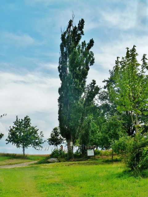 Bludov - pohled k rozcestí "Na Příčné"  nad lesoparkem Gryngle