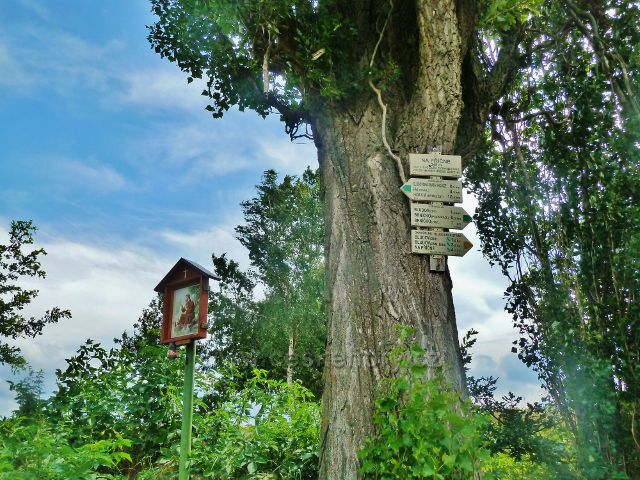 Bludov - turistický rozcestník "Na Příčné 348 m.n.m."