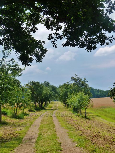 Bludov - cesta t.zv. Příčnice po níž vede trasa NS Bludovská stráň a zelená TZ