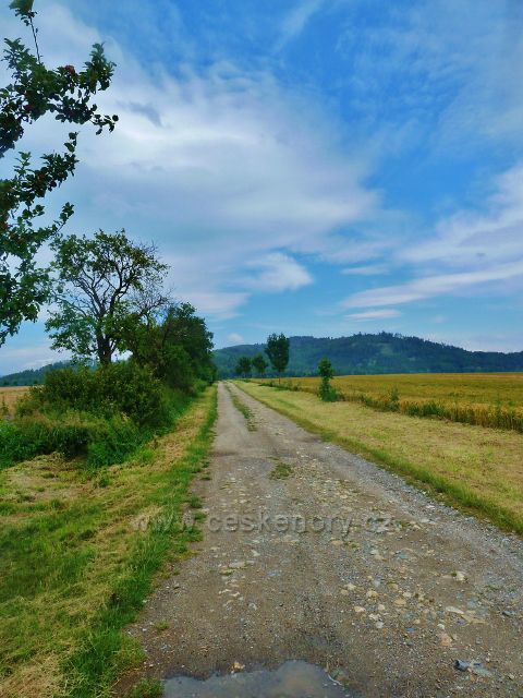 Bludov - cesta od kaple Nejsvětější Trojice k Bludovečku.Na obzoru vystupuje vrch Chocholík (548 m.n.m.)
