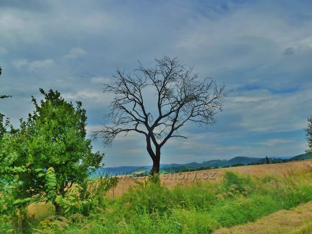 Bludov - pohled k Zábřežské vrchovině z cesty k Bludovečku
