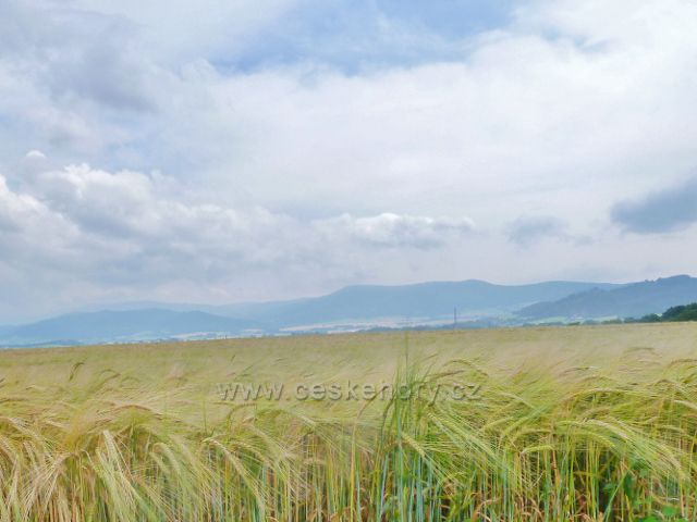 Bludov - pohled z cesty k Bludovečku na hřeben Jeseníků