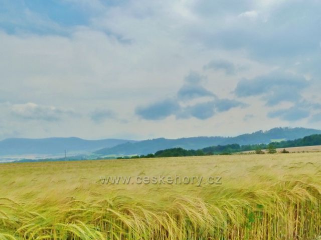 Bludov - pohled z cesty k Bludovečku k Zábřežské vrchovině