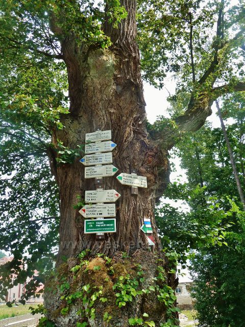 Bludov - turistický rozcestník "Bludoveček (rest.) 368 m.n.m."