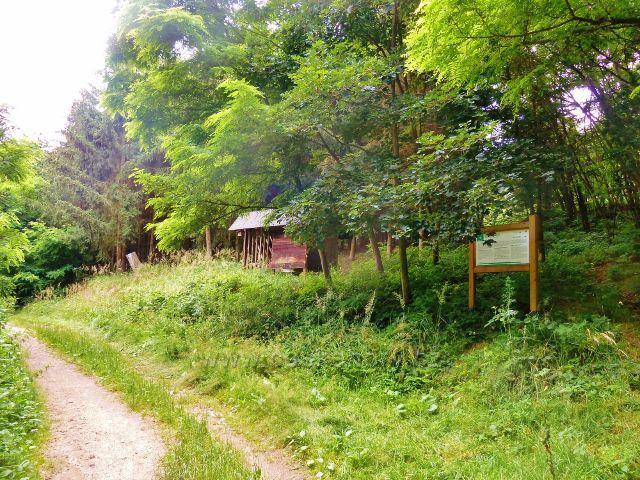 Bludov - panel "Hrad Bludov"u odbočky trasy po červené TZ ke zřícenině hradu