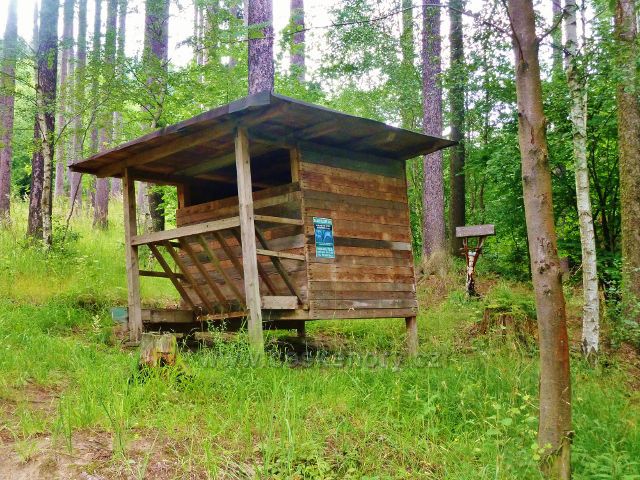 Bludov - krmelec u odbočky stezky po červené TZ ke zřícenině hradu