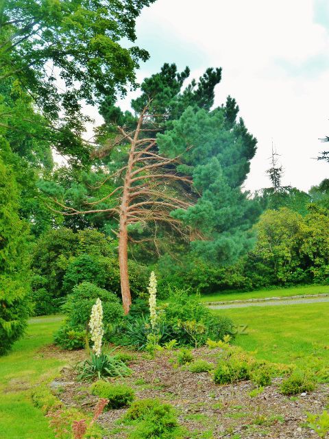 Lázně Bludov - park
