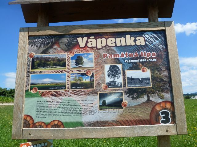 Skuhrov nad Bělou - panel 3.zastavení NS Vápenka, Památná lípa