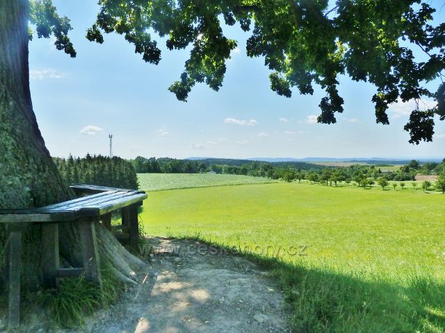Skuhrov nad Bělou - pohled od památné lípy k aleji nad kostelem