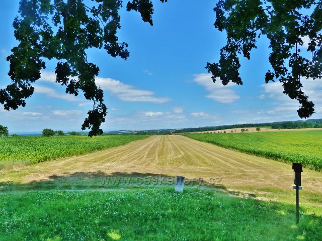 Skuhrov nad Bělou - pohled od památné lípy k obci Svinná