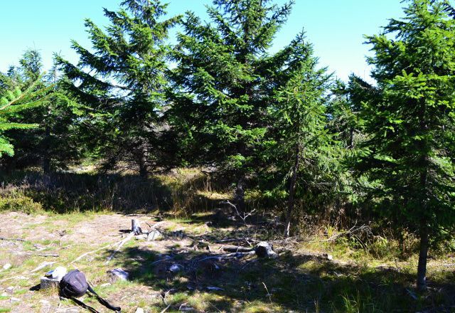 Malá Deštná 1090m.n.m.