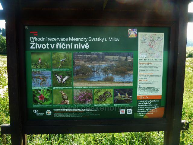 Panel Meandry Svratky u Milov