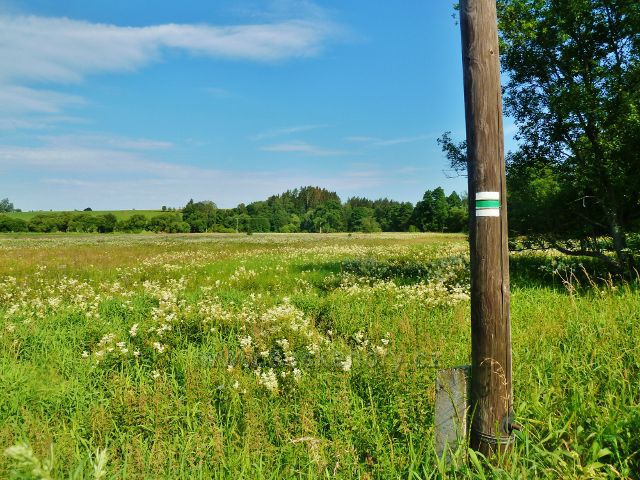 České Milovy - zelená TZ jde po hranici NS Milovská PR Meandry Svratky