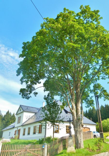 České Milovy - bývalé obydlí sklářských mistrů