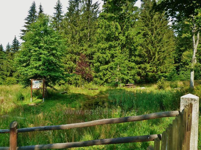 České Milovy - odpočinkové místo nad bývalou sklářskou osadou