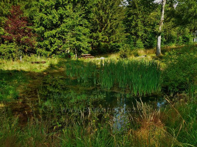 České Milovy - rybníček na odpočinkovém místě nad bývalou sklářskou osadou