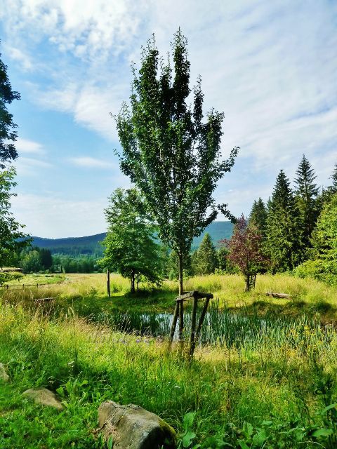 České Milovy - rybníček na odpočinkovém místě nad bývalou sklářskou osadou