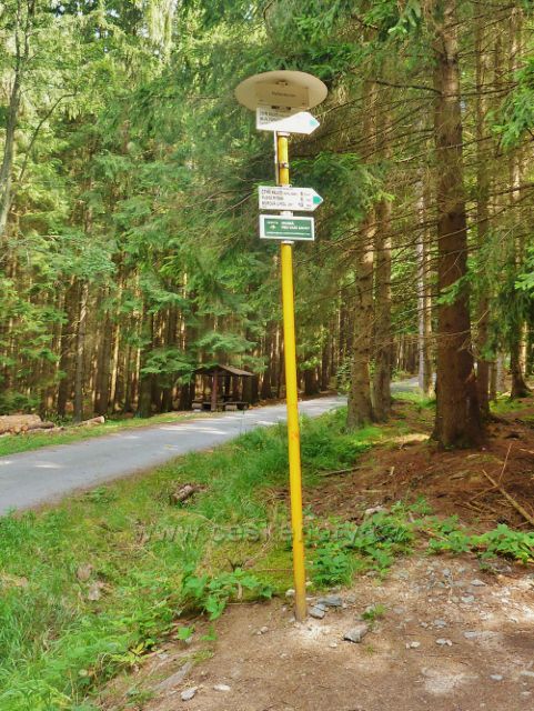 České Milovy - rozcestí a přístřešek Plaňkovka na trase po zelené TZ ke Čtyřem palicím