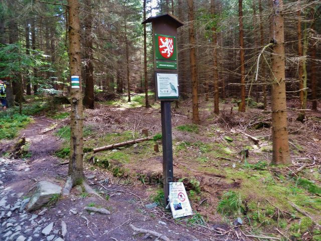 České Milovy - trasa ke Čtyřem palicím po zelené a modré TZ vede po hranici PR Čtyři palice