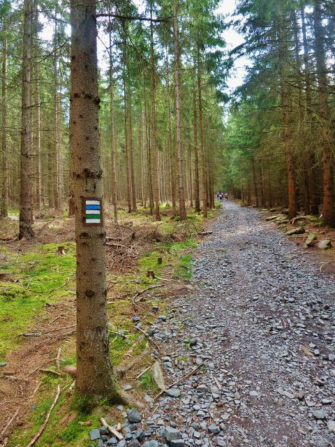 České Milovy - cesta ke Čtyřem palicím