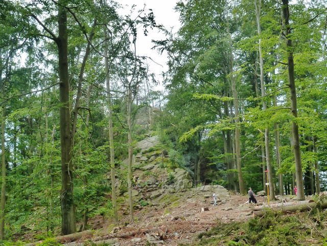 České Milovy - rozcestí u Čtyřpaličaté skály