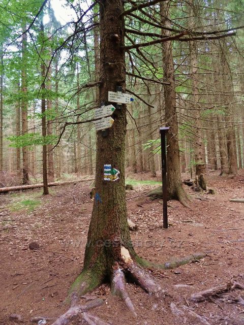 České Miulovy - rozcestí Čtyři palice. Odtud pokračuje modrá TZ k Milovickým perníčkům