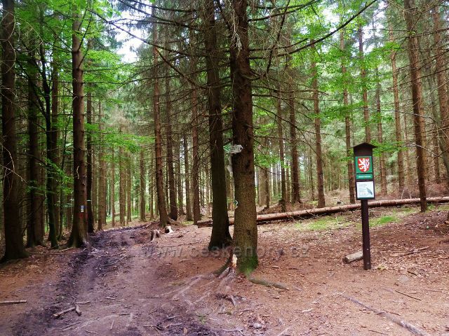 České Milovy - rozcestí Čtyři palice je na hranici stejnojmenné Přírodní rezervace