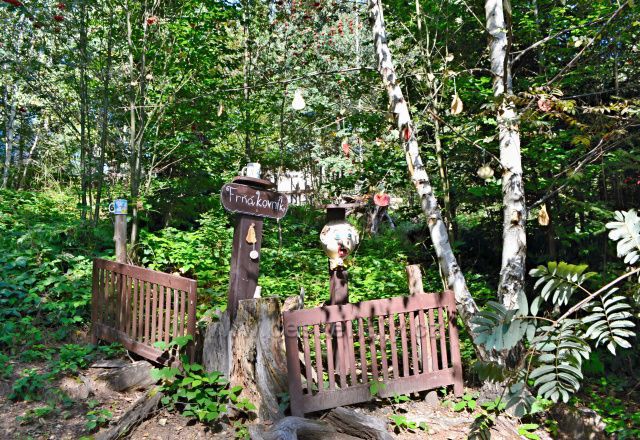 Rozhledna a její okolí