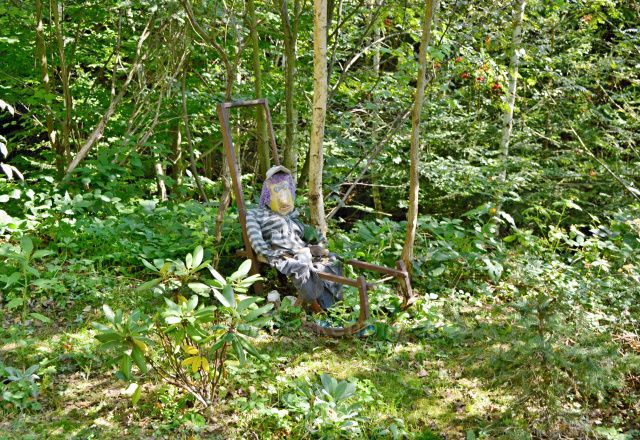 Rozhledna a její okolí