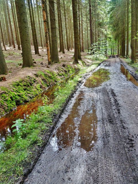 České Milovy - stopy po dešti na cestě po modré TZ k Milovským Perníčkům