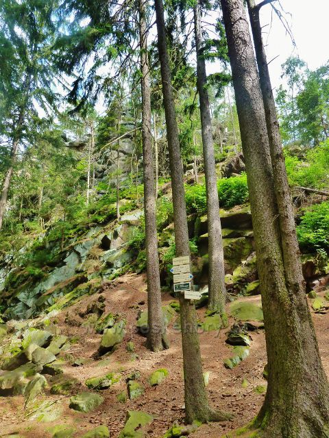 České Milovy - PP Milovské Perníčky