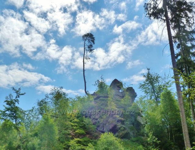 České Milovy -PP Milovské Perníčky