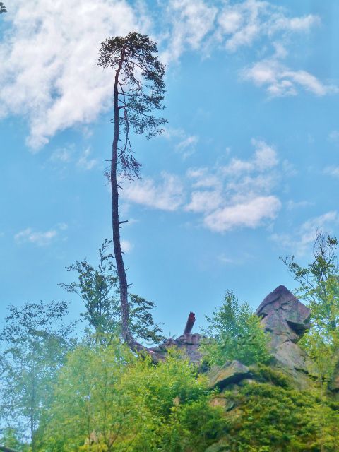 České Milovy - PP Milovské Perníčky