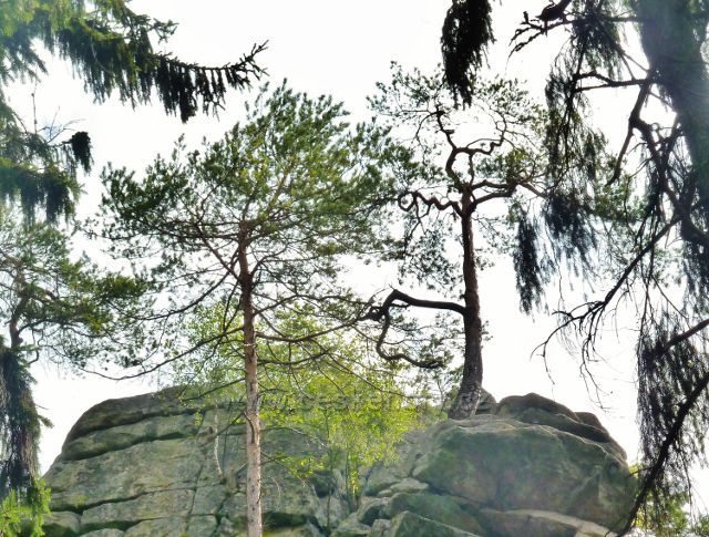 České Milovy - PP Milovské Perníčky