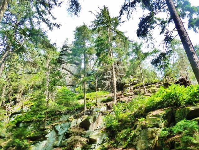 České Milovy - PP Milovské Perníčky