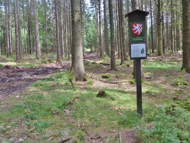 Křižánky - na hranici PP Milovské Perníčky