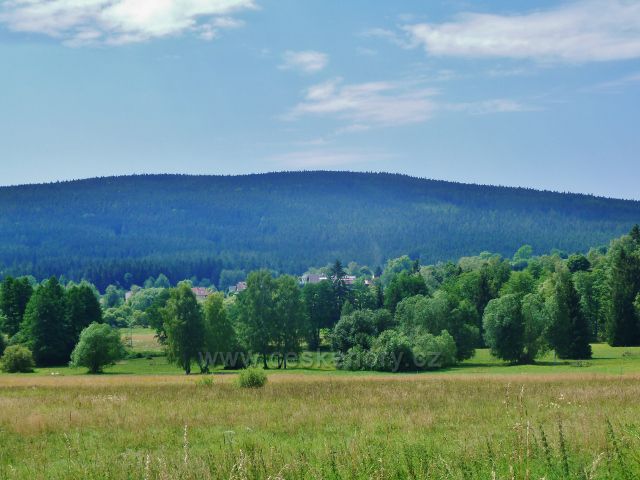 České Milovy - pohled k lesnímu masivu Devíti skal