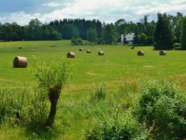 České Milovy - sklizeň sena v areálu zaniklé sklářské osady