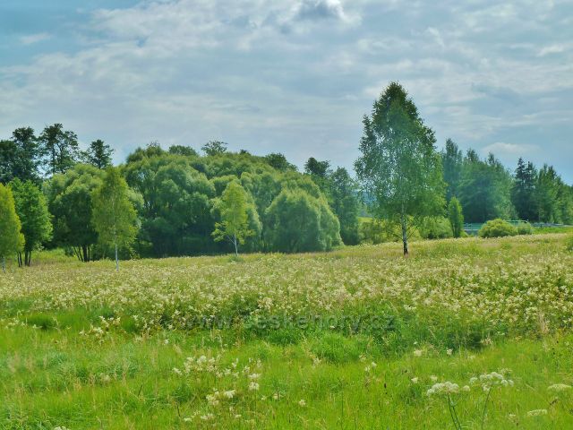 České Milovy - PR Meandry Svratky